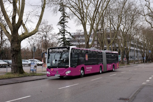 MSP-LY 456