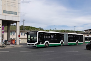 MSP-EY 480