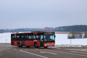 N-YZ 813