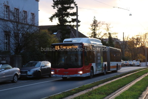 Fahrzeugseite N-TX-255