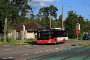 Fahrzeugseite N-TX-3885