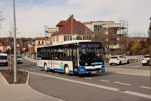 NEA-DD 88