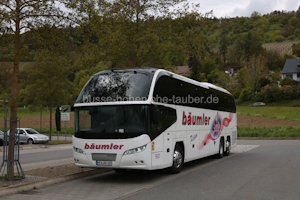 NEW-WO 480