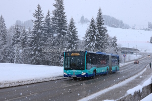 Fahrzeugseite OA-KM-607