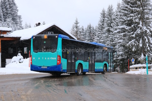 Fahrzeugseite OA-RV-1120