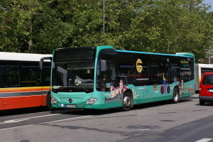 Fahrzeugseite SW-DD-1005