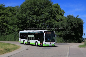ERB-CR 784