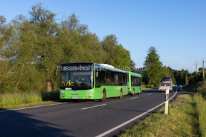 FD-VG 1619