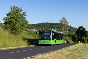FD-VG-2404