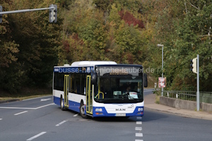 DÜW-BV 260