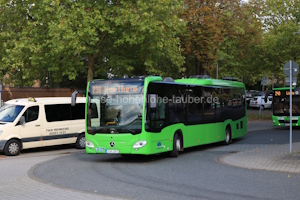 EIN-IB 5
