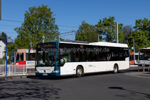 BM-LS 338