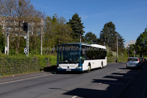 BM-LS 338