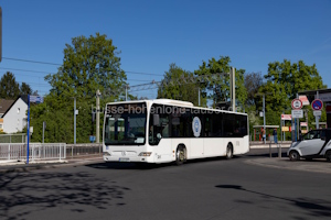 K-ZY 339
