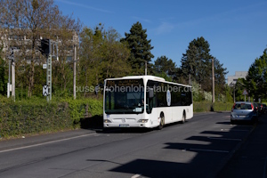K-ZY 339