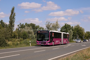 Fahrzeugseite MZ-DB-678