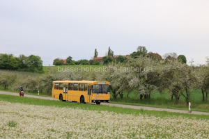 Fahrzeugseite MZ-DB-37H