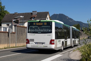 W-3451-LO