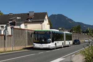 W-3451-LO
