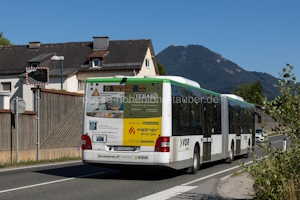 W-3452-LO