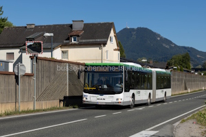 W-3452-LO