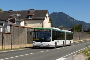 W-3453-LO