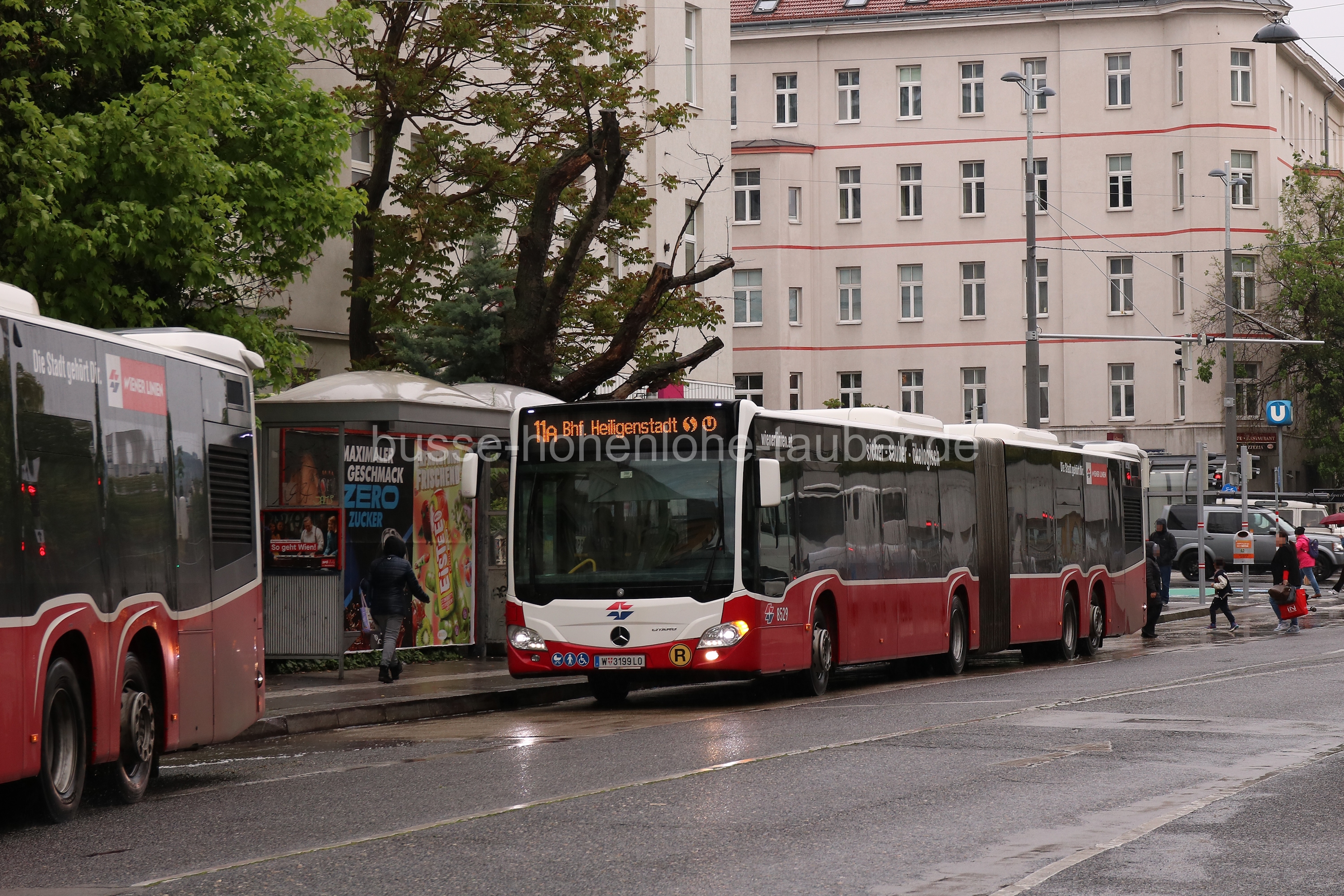 Bild W-3199-LO