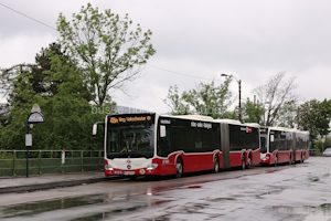 W-3598-LO