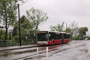 W-3605-LO