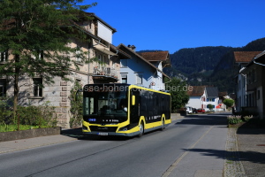 Fahrzeugseite BD-16003