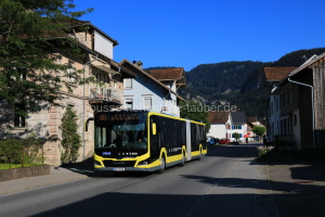 Fahrzeugseite BD-16006