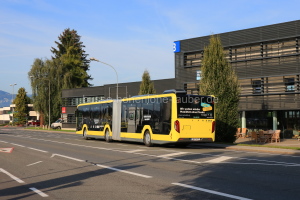 Fahrzeugseite BD-16010