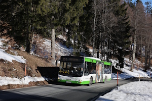 S-242-TL