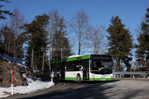 S-242-TL