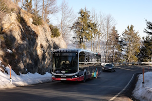 S-EBUS-12