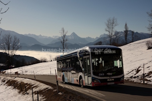 S-EBUS-13