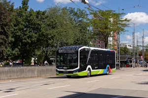S-EBUS-6