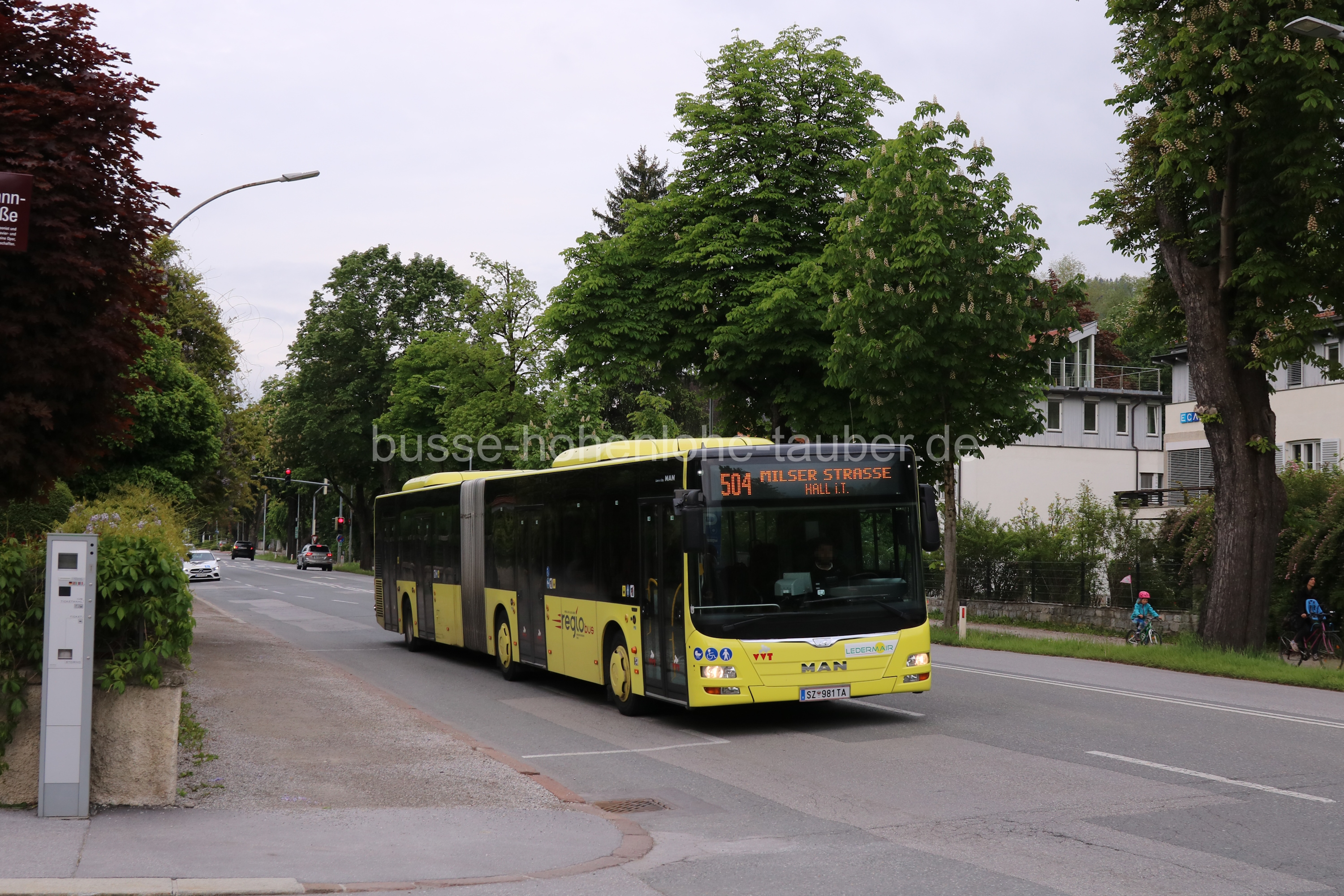 Bild SZ-981-TA