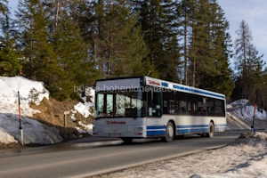 IL-XL-12