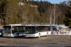 IL-XL-2