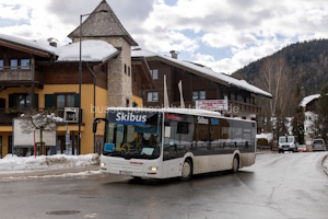 IL-XL-6