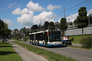 Fahrzeugseite LU-174907