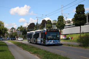 Fahrzeugseite LU-248364