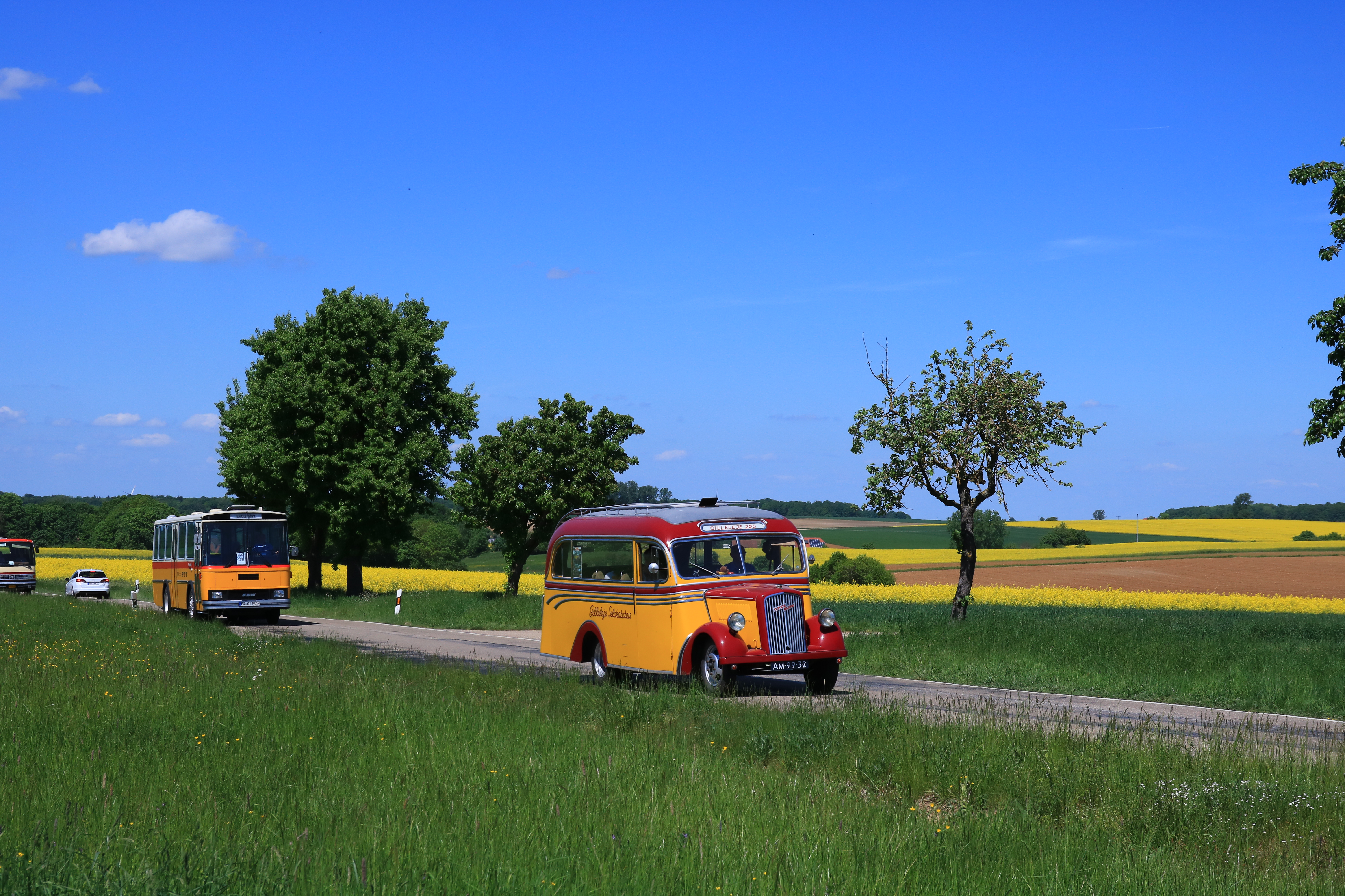 Fahrzeugseite (NL)AM-99-32